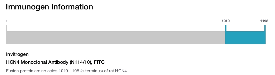 HCN4 Monoclonal Antibody (N114/10), FITC