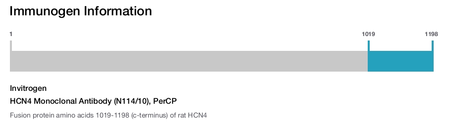HCN4 Monoclonal Antibody (N114/10), PerCP
