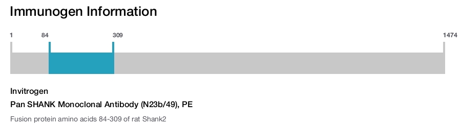Pan SHANK Monoclonal Antibody (N23b/49), PE