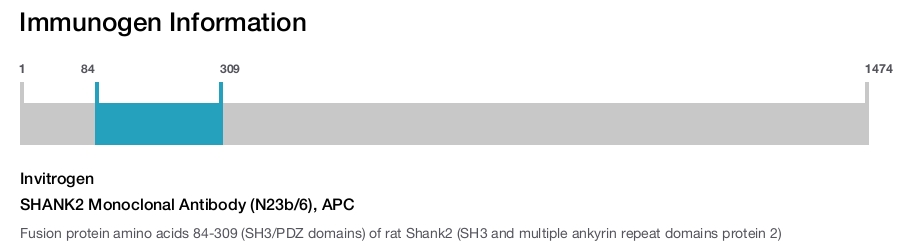 SHANK2 Monoclonal Antibody (N23b/6), APC