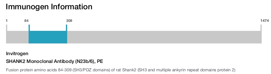 SHANK2 Monoclonal Antibody (N23b/6), PE