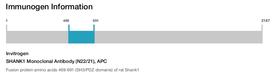SHANK1 Monoclonal Antibody (N22/21), APC