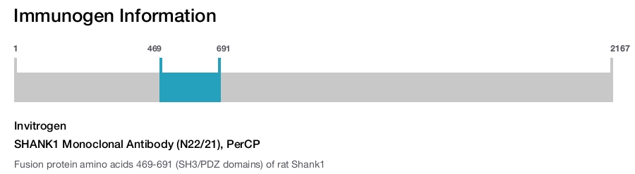 SHANK1 Monoclonal Antibody (N22/21), PerCP