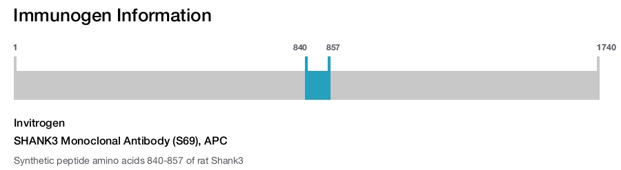 SHANK3 Monoclonal Antibody (S69), APC