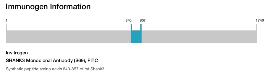 SHANK3 Monoclonal Antibody (S69), FITC
