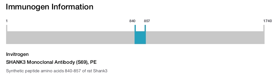 SHANK3 Monoclonal Antibody (S69), PE