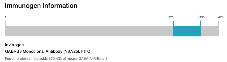 GABRB3 Monoclonal Antibody (N87/25), FITC