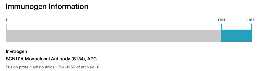 SCN10A Monoclonal Antibody (S134), APC