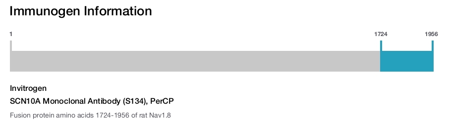 SCN10A Monoclonal Antibody (S134), PerCP