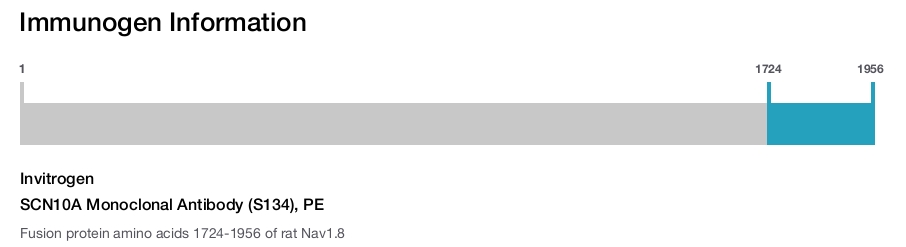 SCN10A Monoclonal Antibody (S134), PE
