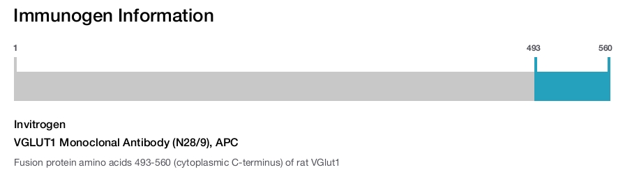 VGLUT1 Monoclonal Antibody (N28/9), APC