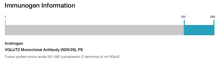 VGLUT2 Monoclonal Antibody (N29/29), PE
