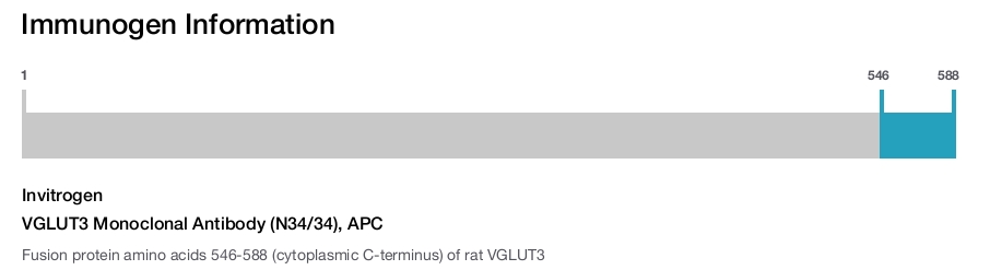 VGLUT3 Monoclonal Antibody (N34/34), APC