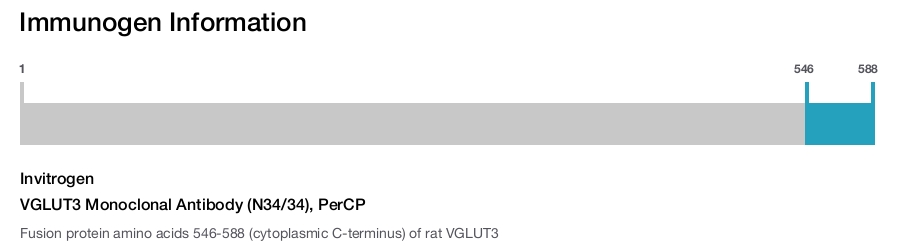VGLUT3 Monoclonal Antibody (N34/34), PerCP