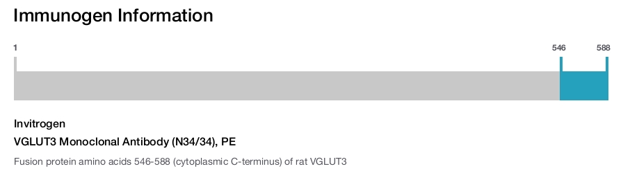 VGLUT3 Monoclonal Antibody (N34/34), PE