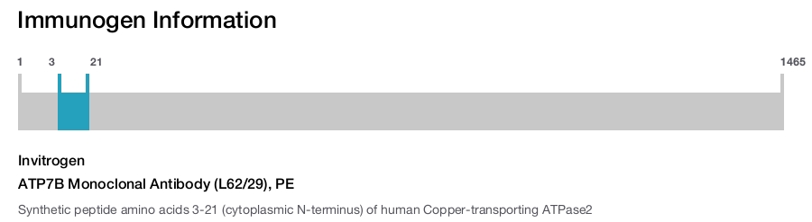 ATP7B Monoclonal Antibody (L62/29), PE