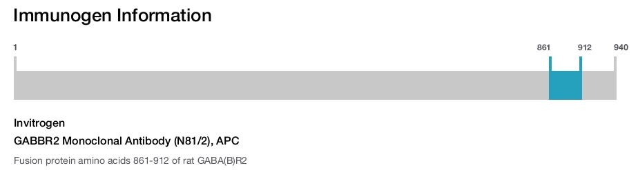 GABBR2 Monoclonal Antibody (N81/2), APC
