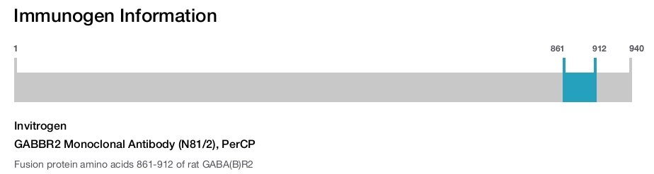 GABBR2 Monoclonal Antibody (N81/2), PerCP