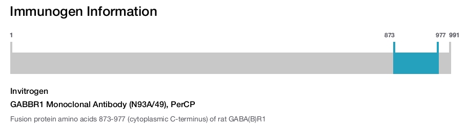 GABBR1 Monoclonal Antibody (N93A/49), PerCP