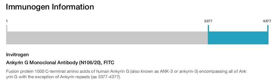 Ankyrin G Monoclonal Antibody (N106/20), FITC