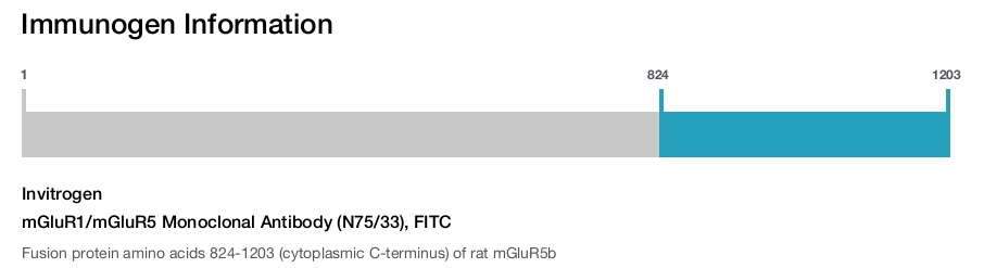mGluR1/mGluR5 Monoclonal Antibody (N75/33), FITC