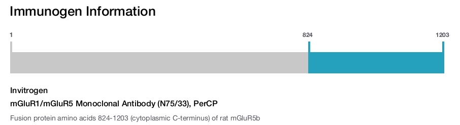 mGluR1/mGluR5 Monoclonal Antibody (N75/33), PerCP
