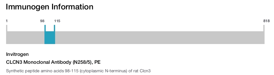 CLCN3 Monoclonal Antibody (N258/5), PE