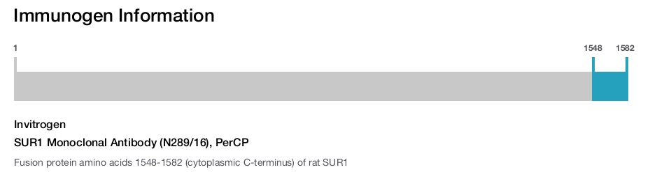 SUR1 Monoclonal Antibody (N289/16), PerCP