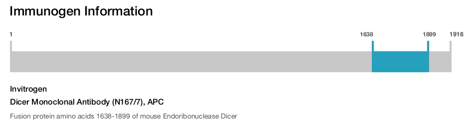 Dicer Monoclonal Antibody (N167/7), APC