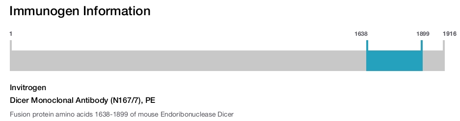 Dicer Monoclonal Antibody (N167/7), PE