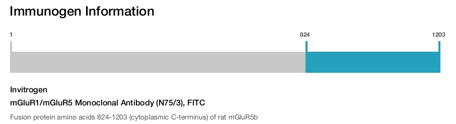 mGluR1/mGluR5 Monoclonal Antibody (N75/3), FITC