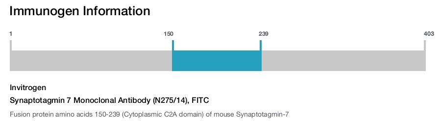 Synaptotagmin 7 Monoclonal Antibody (N275/14), FITC