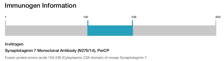 Synaptotagmin 7 Monoclonal Antibody (N275/14), PerCP
