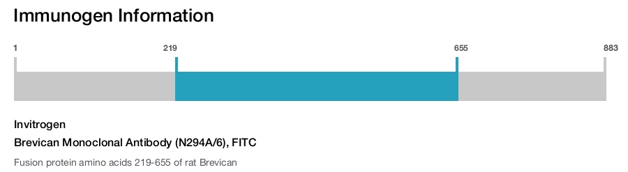 Brevican Monoclonal Antibody (N294A/6), FITC