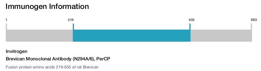 Brevican Monoclonal Antibody (N294A/6), PerCP