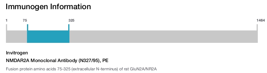 NMDAR2A Monoclonal Antibody (N327/95), PE