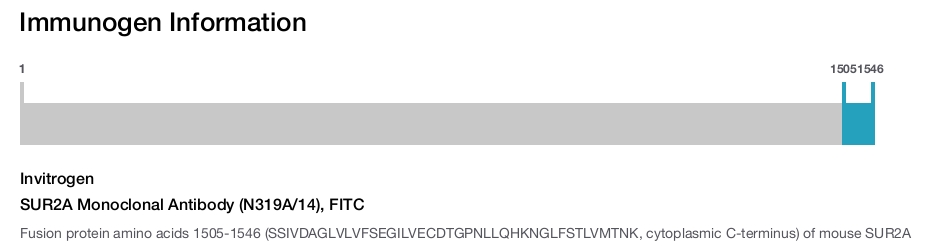 SUR2A Monoclonal Antibody (N319A/14), FITC