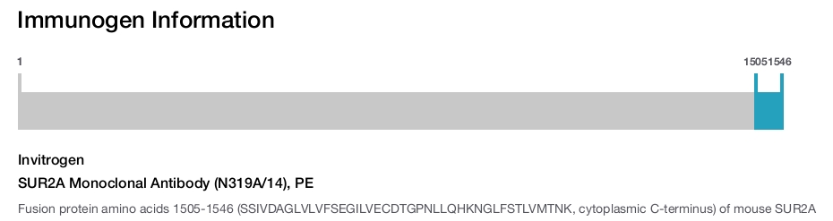 SUR2A Monoclonal Antibody (N319A/14), PE
