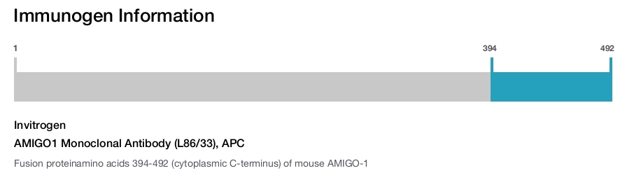 AMIGO1 Monoclonal Antibody (L86/33), APC