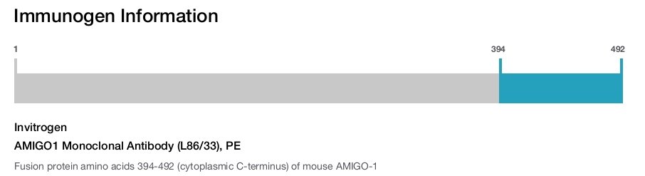 AMIGO1 Monoclonal Antibody (L86/33), PE