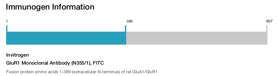 GluR1 Monoclonal Antibody (N355/1), FITC