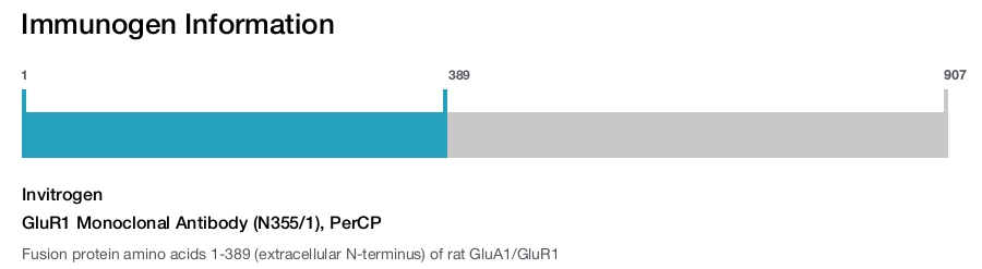 GluR1 Monoclonal Antibody (N355/1), PerCP