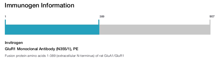 GluR1 Monoclonal Antibody (N355/1), PE