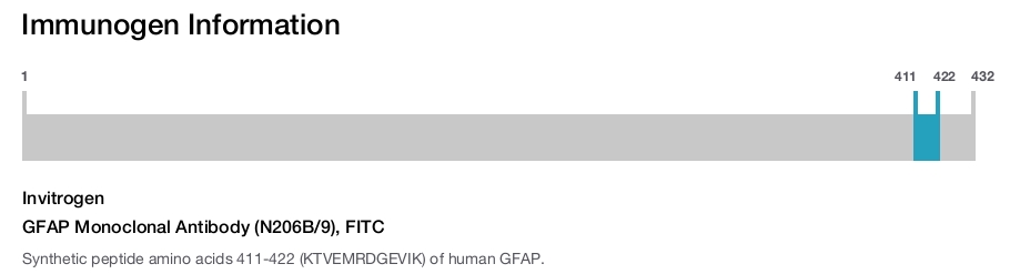 GFAP Monoclonal Antibody (N206B/9), FITC