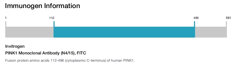 PINK1 Monoclonal Antibody (N4/15), FITC
