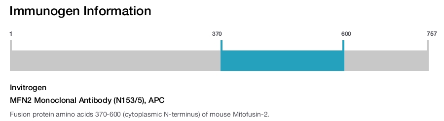 MFN2 Monoclonal Antibody (N153/5), APC