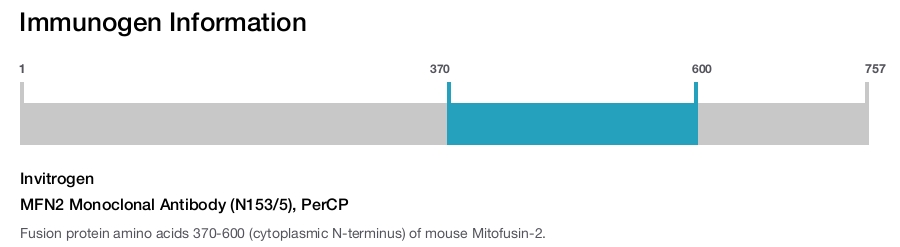 MFN2 Monoclonal Antibody (N153/5), PerCP