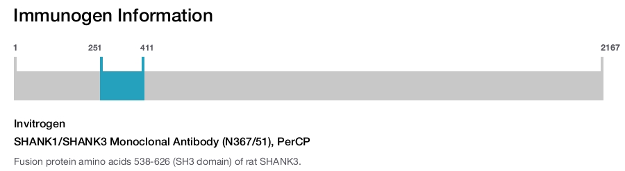 SHANK1/SHANK3 Monoclonal Antibody (N367/51), PerCP