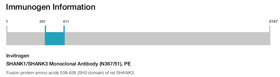 SHANK1/SHANK3 Monoclonal Antibody (N367/51), PE