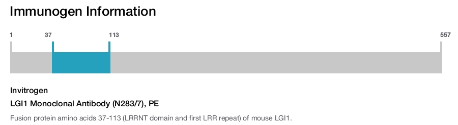 LGI1 Monoclonal Antibody (N283/7), PE